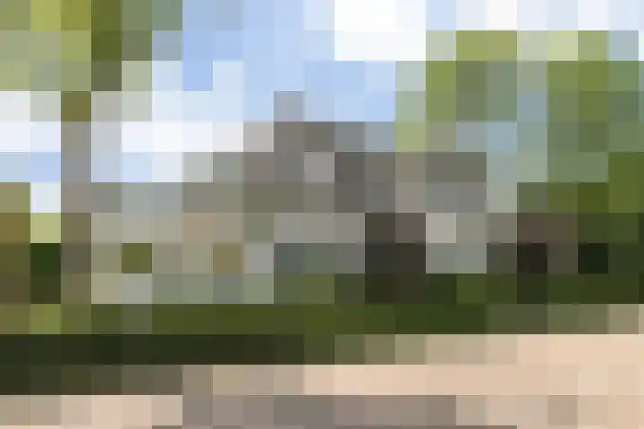 Hal 29 Esch thumbnail 10