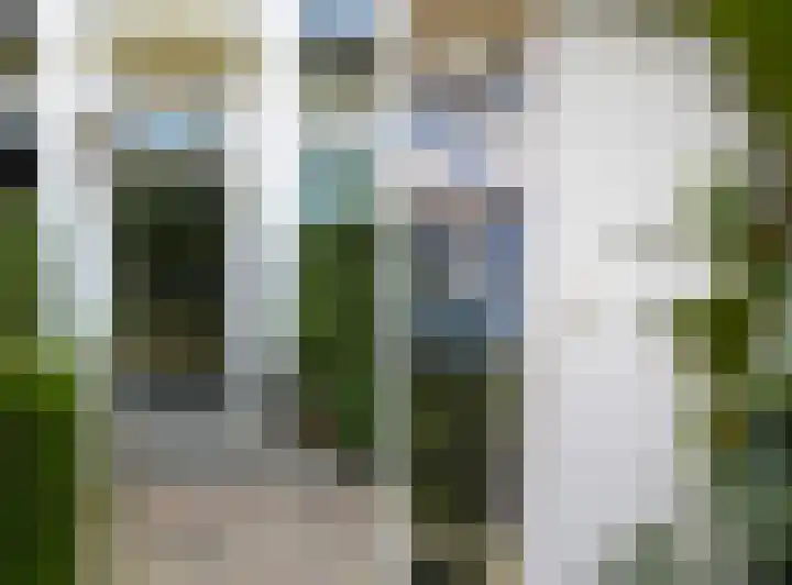 Hal 29 Esch thumbnail 11