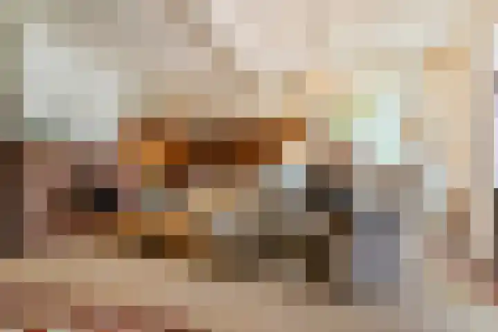 Hal 29 Esch thumbnail 16