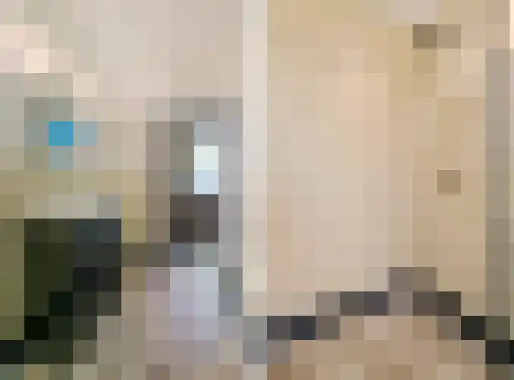 Hal 29 Esch thumbnail 44