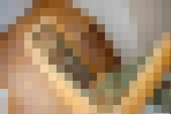 Hal 29 Esch thumbnail 46