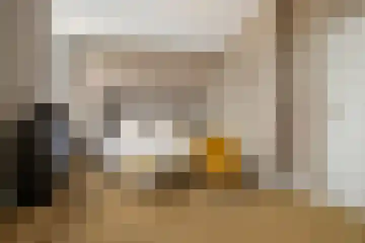 Hal 29 Esch thumbnail 50