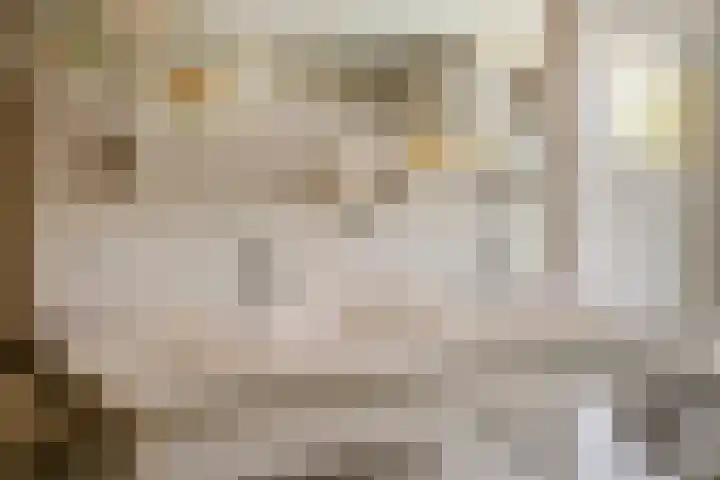 Hal 29 Esch thumbnail 67