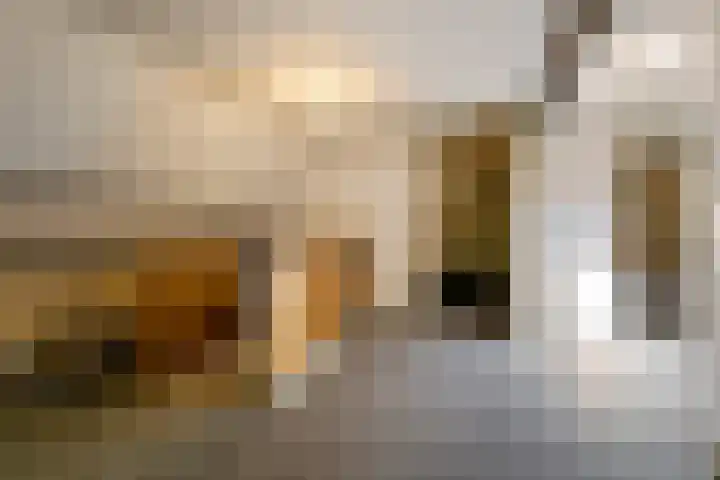 Hal 29 Esch thumbnail 68