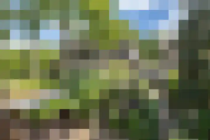 Hal 29 Esch thumbnail 79