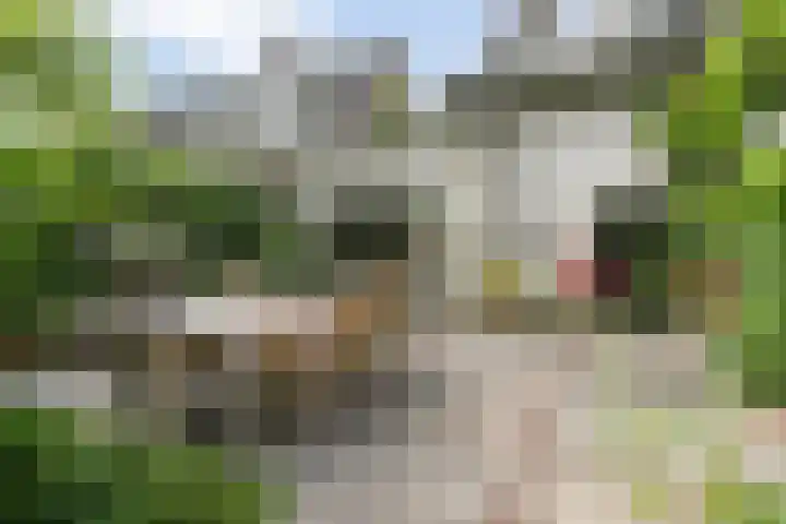 Hal 29 Esch thumbnail 82