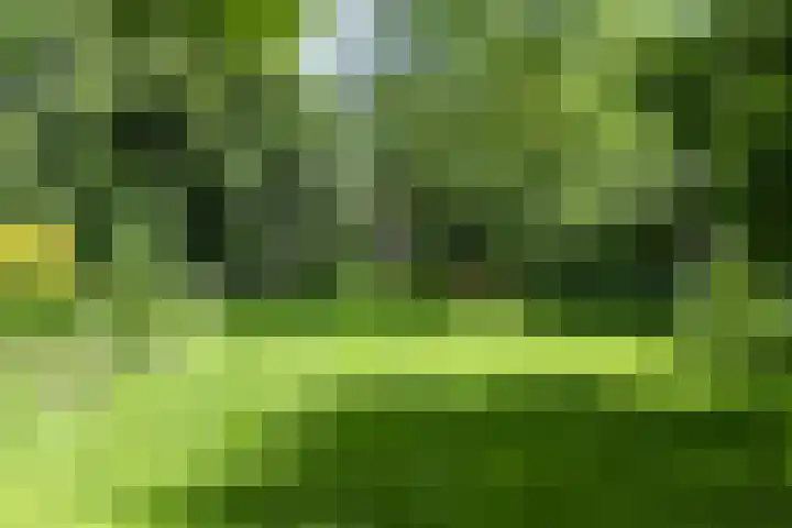 Hal 29 Esch thumbnail 84