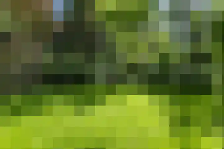 Hal 29 Esch thumbnail 86