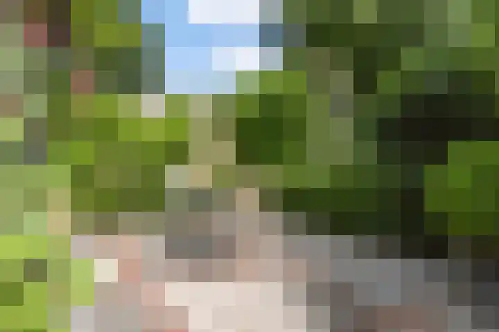 Hal 29 Esch thumbnail 89