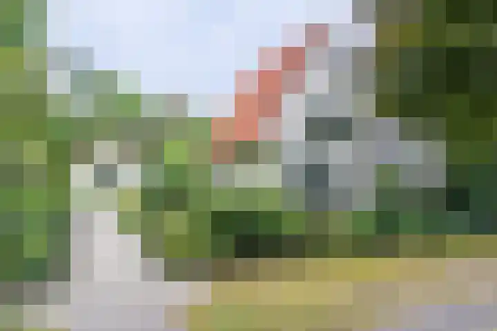 Halderheiweg 2 Boxtel