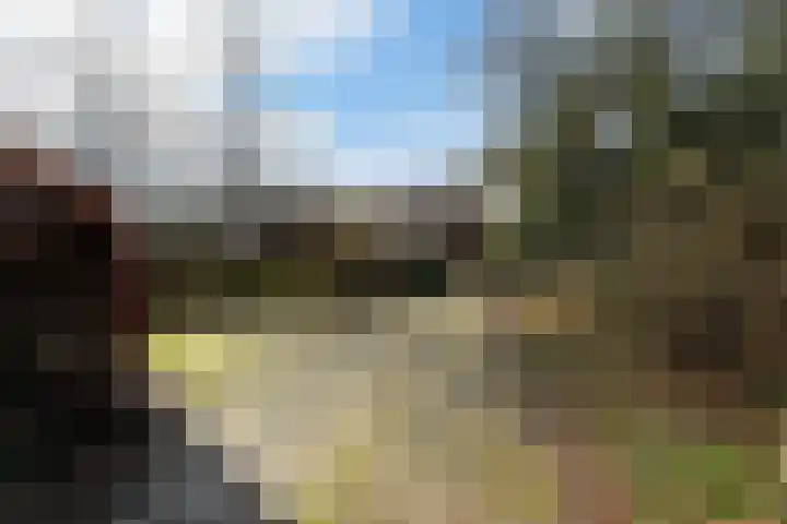 Halderheiweg 3 Boxtel thumbnail 4