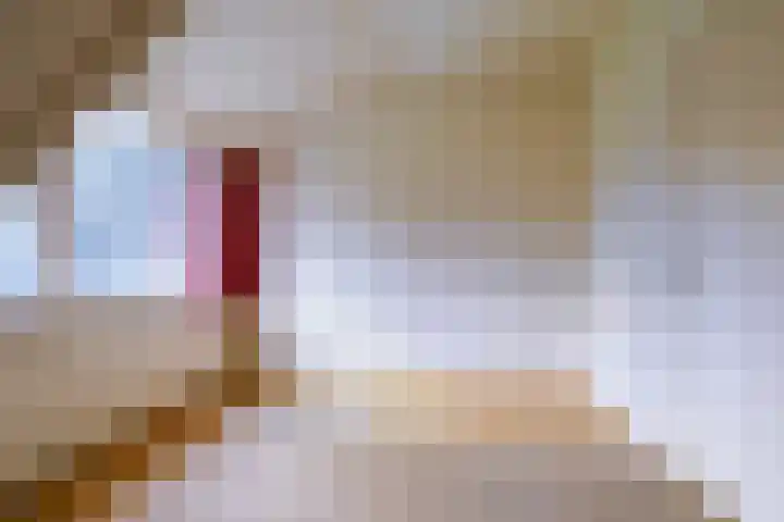 Halderheiweg 3 Boxtel thumbnail 54
