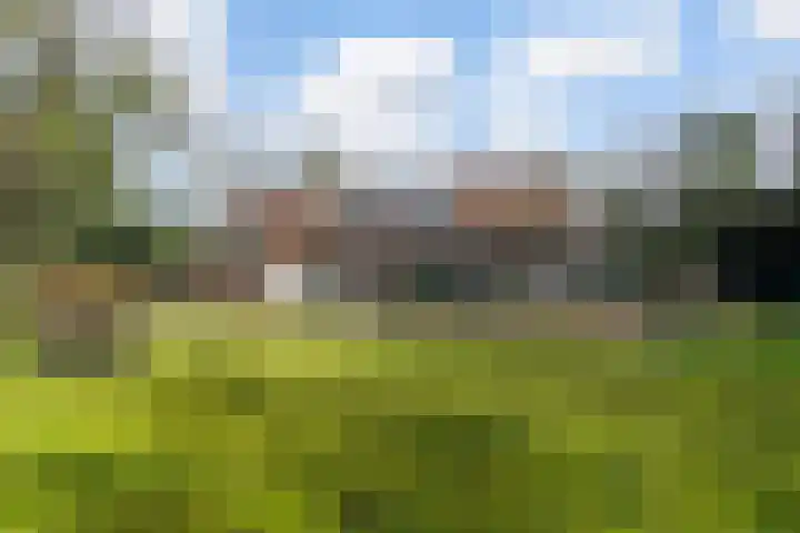 Halderheiweg 3 Boxtel thumbnail 60