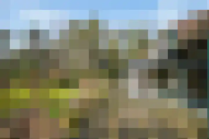 Halderheiweg 3 Boxtel thumbnail 62