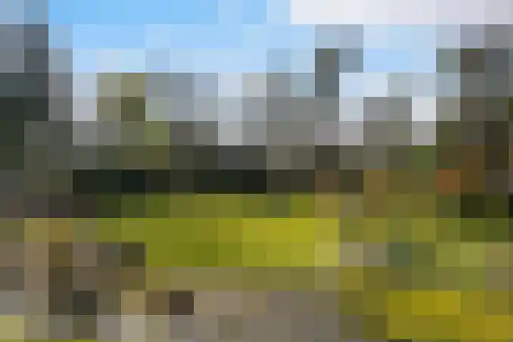 Halderheiweg 3 Boxtel thumbnail 63