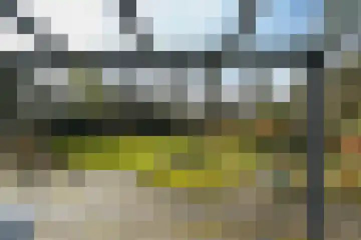 Halderheiweg 3 Boxtel thumbnail 64
