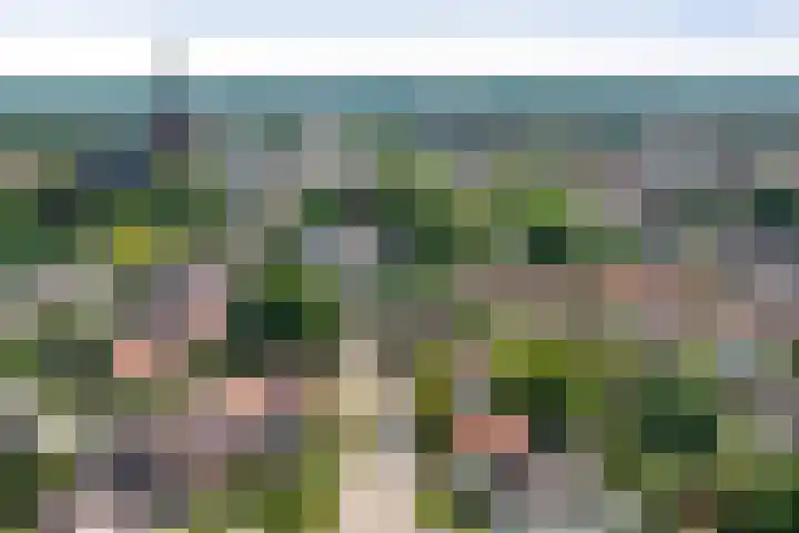Halewechstraat 4 Raalte thumbnail 12