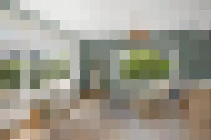 Halewechstraat 4 Raalte thumbnail 18