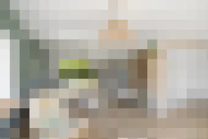 Halewechstraat 4 Raalte thumbnail 20