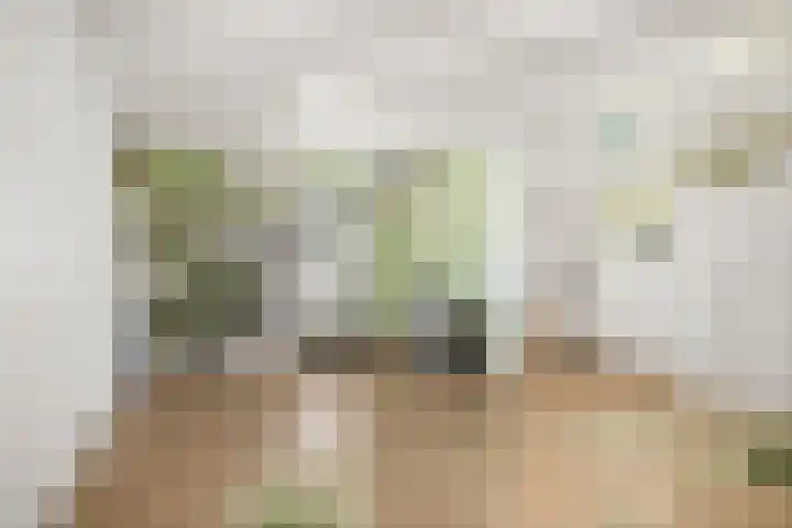 Halewechstraat 4 Raalte thumbnail 29