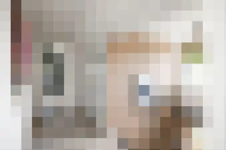 Halewechstraat 4 Raalte thumbnail 32