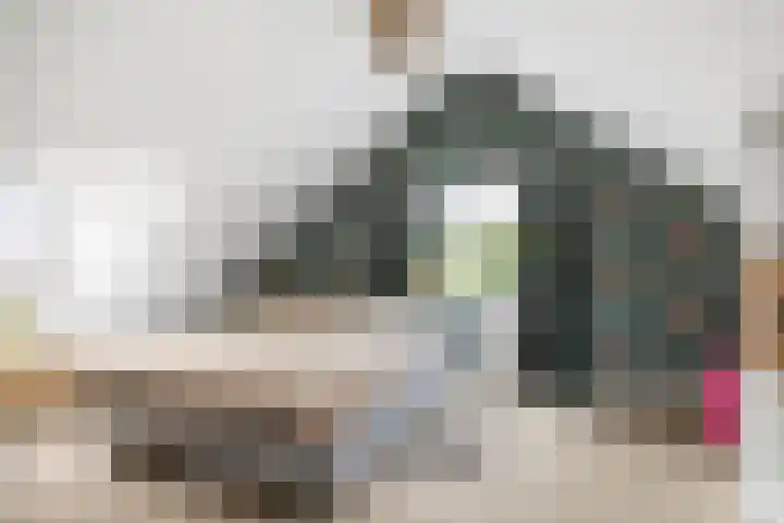 Halewechstraat 4 Raalte thumbnail 36
