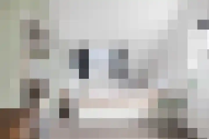 Halewechstraat 4 Raalte thumbnail 38