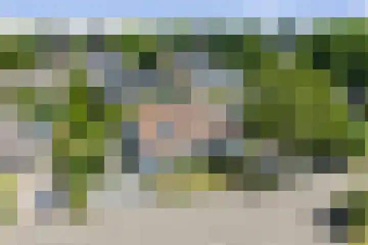 Halewechstraat 4 Raalte thumbnail 4