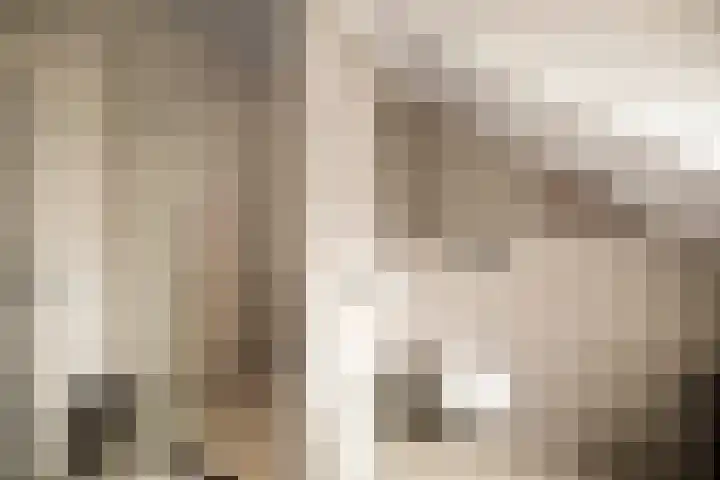 Halewechstraat 4 Raalte thumbnail 47