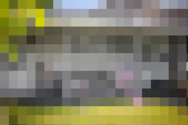 Halewechstraat 4 Raalte thumbnail 51