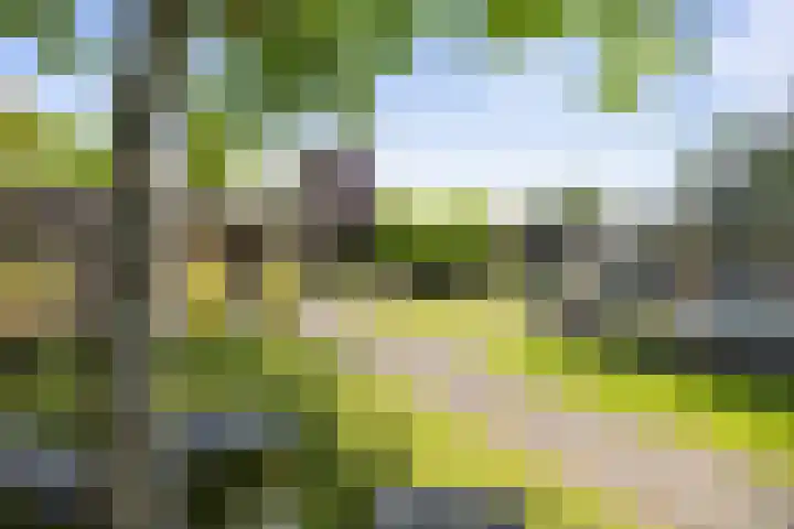 Halewechstraat 4 Raalte thumbnail 53