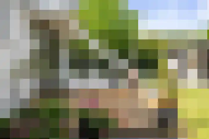 Halewechstraat 4 Raalte thumbnail 56