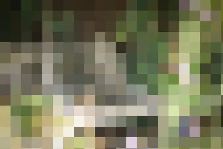 Halewechstraat 4 Raalte thumbnail 57