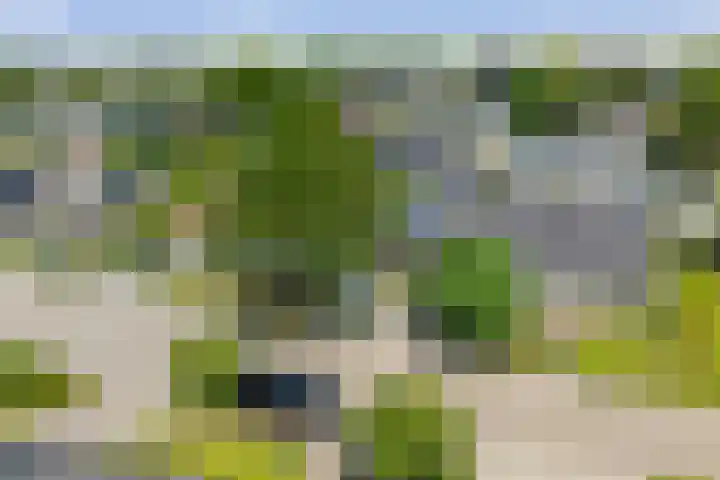 Halewechstraat 4 Raalte thumbnail 58