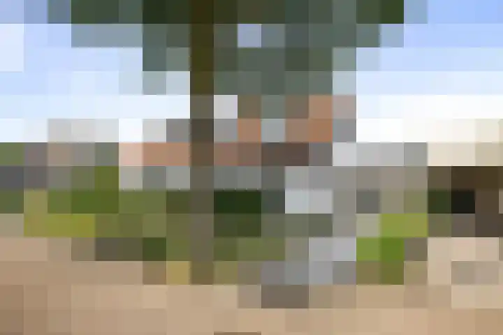 Halewechstraat 4 Raalte thumbnail 66