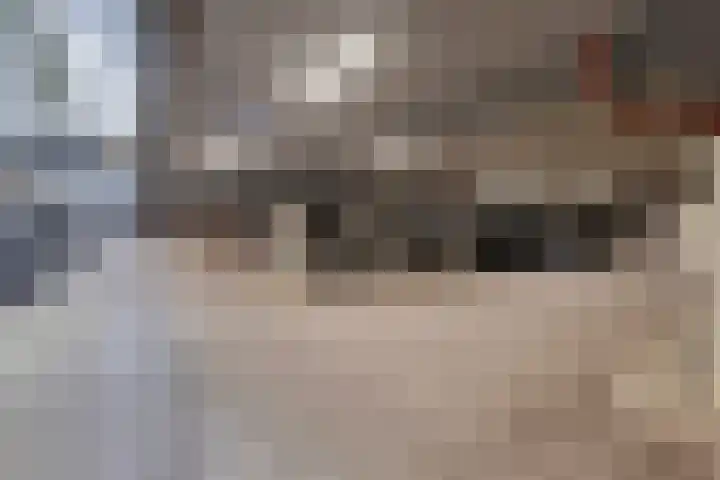 Halfrond 72 Rotterdam thumbnail 30