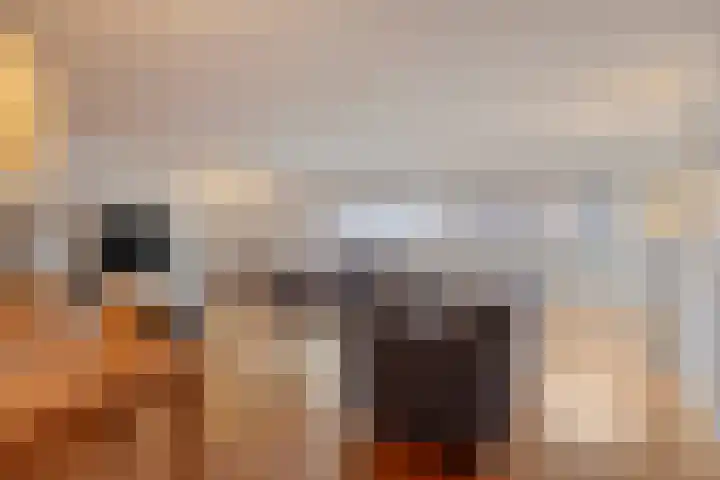 Halfrond 72 Rotterdam thumbnail 5