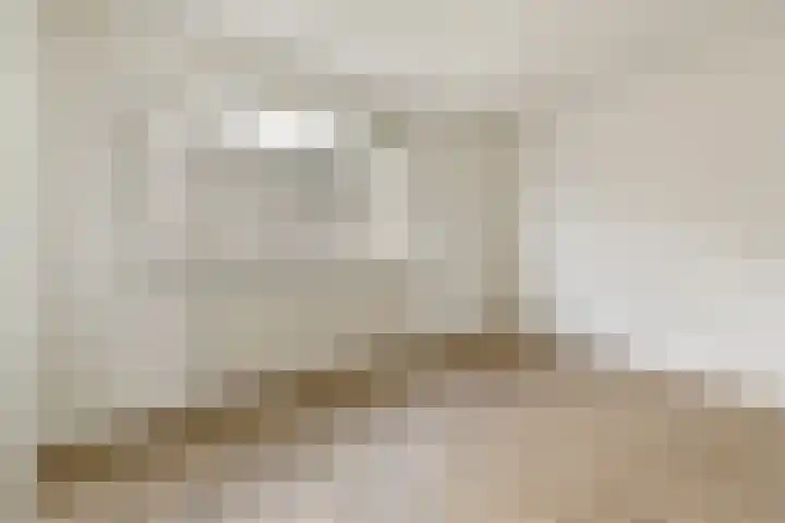Halhof 44 D Rotterdam thumbnail 15