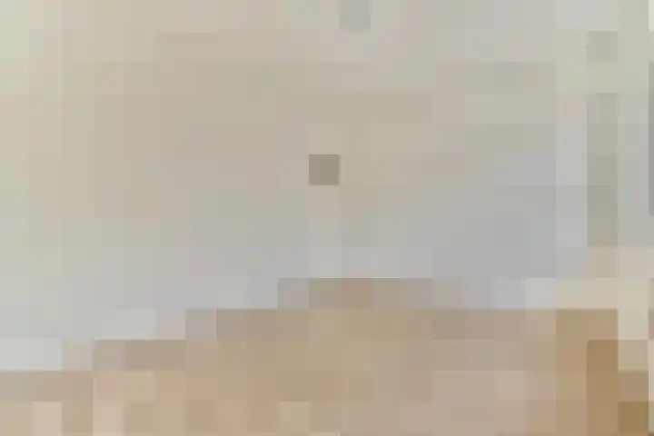 Halhof 44 D Rotterdam thumbnail 16
