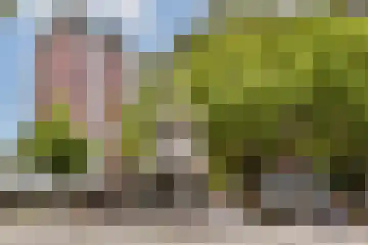 Halhof 44 D Rotterdam thumbnail 22