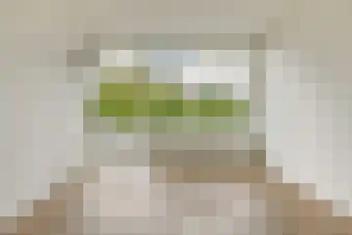 Halhof 44 D Rotterdam thumbnail 6