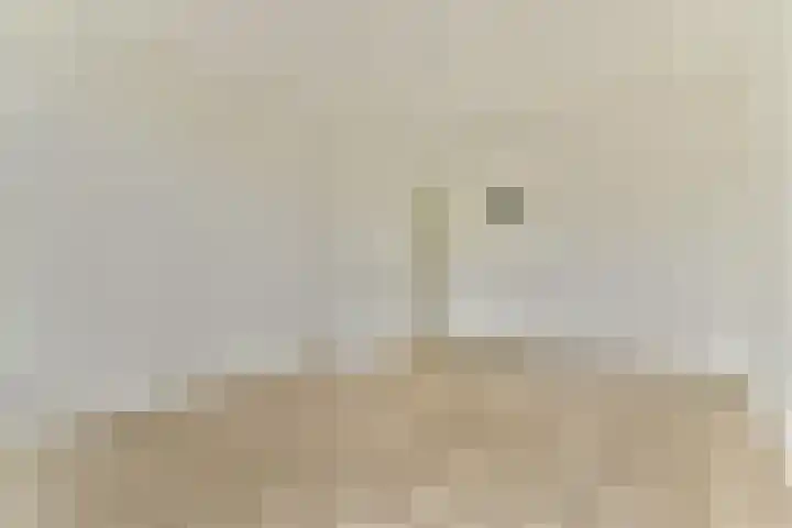 Halhof 44 D Rotterdam thumbnail 7