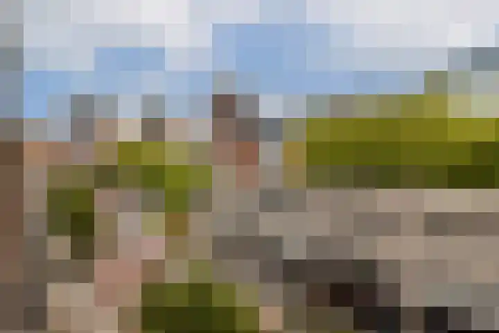 Halhof 44 D Rotterdam thumbnail 8