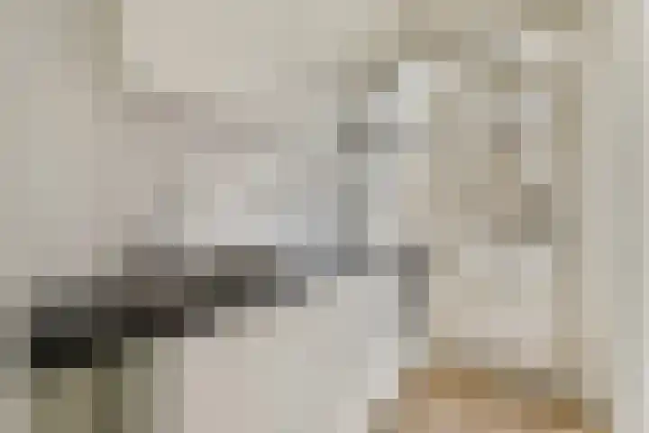 Halhof 44 D Rotterdam thumbnail 9