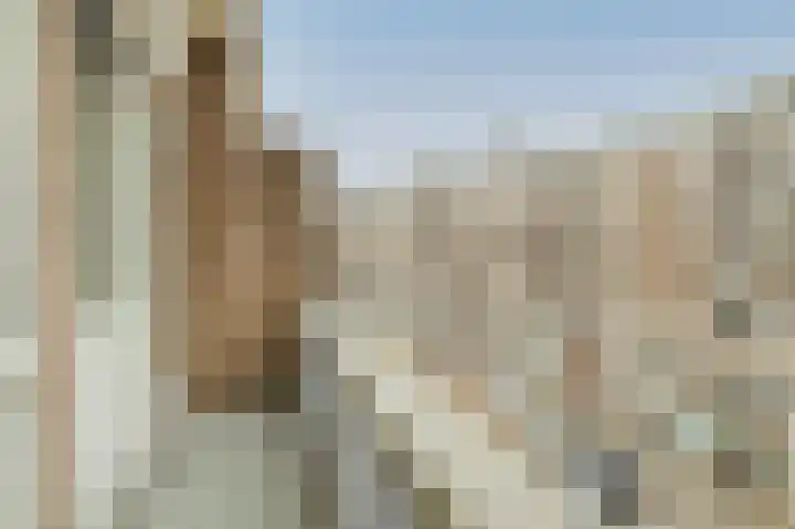 Halhof 54 D Rotterdam thumbnail 15