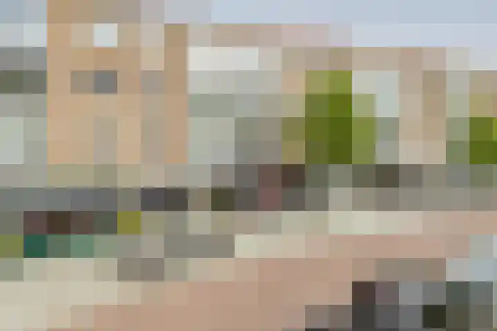 Halhof 54 D Rotterdam thumbnail 22