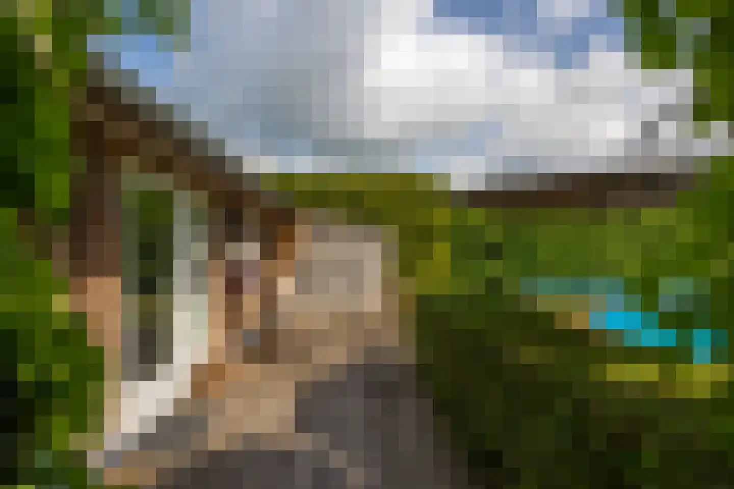 Hallsedijk 29 Tonden thumbnail 25