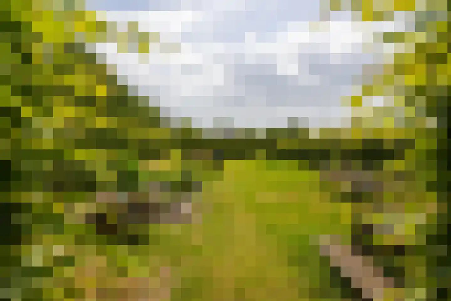 Hallsedijk 29 Tonden thumbnail 53