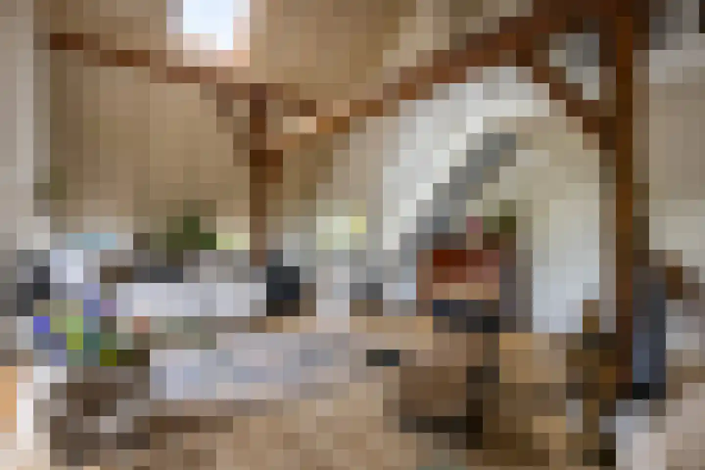 Hallsedijk 29 Tonden thumbnail 6