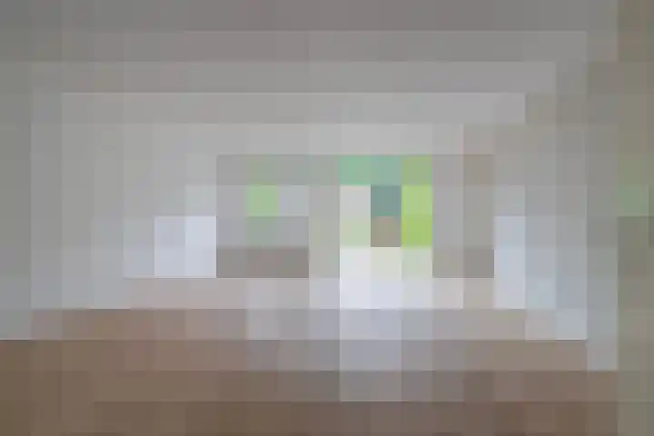 Hallsteinstraat 87 Zevenaar thumbnail 11